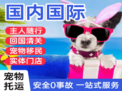 兰旗航空托运国际宠物托运 【国